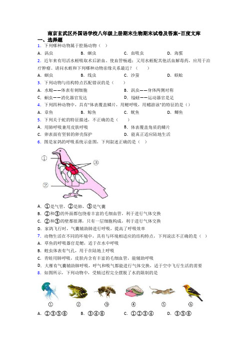 南京玄武区外国语学校八年级上册期末生物期末试卷及答案-百度文库