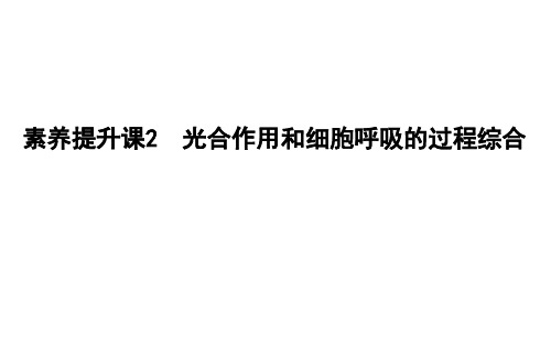 2020年高考生物素养提升课2 光合作用和细胞呼吸的过程综合