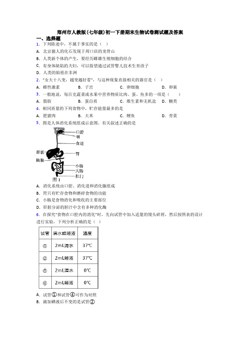 郑州市人教版(七年级)初一下册期末生物试卷测试题及答案