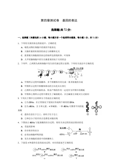 高中生物必修一-第四章测试卷 基因的表达