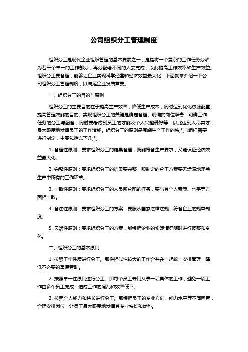 公司组织分工管理制度