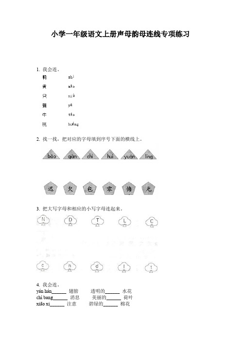 小学一年级语文上册声母韵母连线专项练习