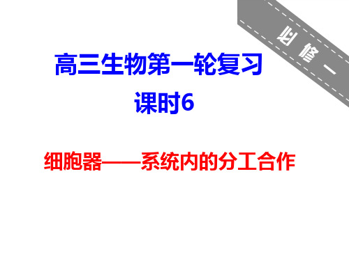 6细胞器——系统内的分工合作讲