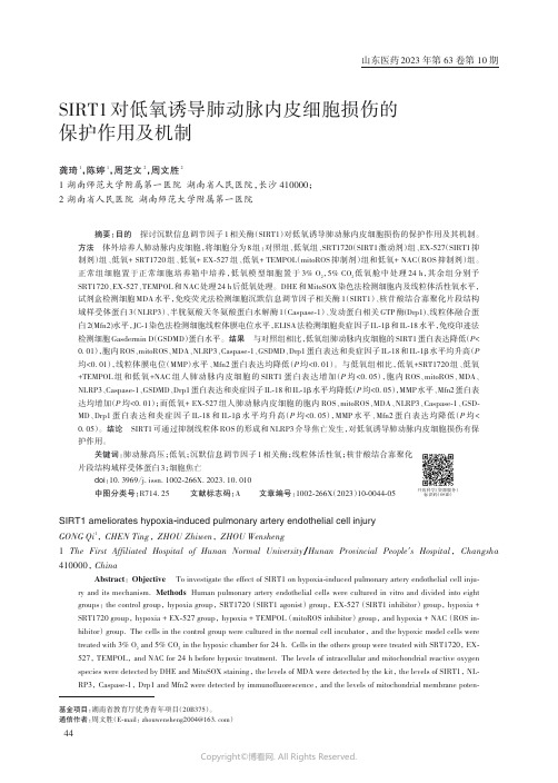 SIRT1_对低氧诱导肺动脉内皮细胞损伤的保护作用及机制