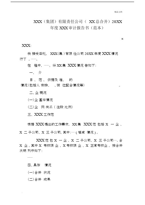 国有企业审计精选报告书标准范本.docx