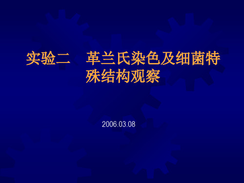 -实验二革兰氏染色及细菌特殊结构观察