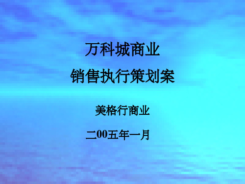 美格行-万科城商业销售执行策划案