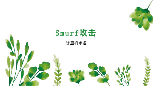 Smurf攻击