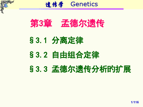 第3章-孟德尔遗传-