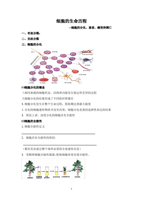 2022高一生物《细胞的生命历程》学案