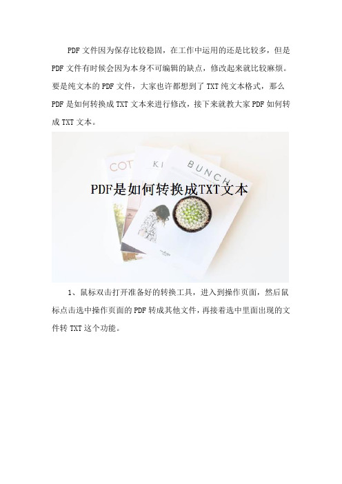 PDF是如何转换成TXT文本