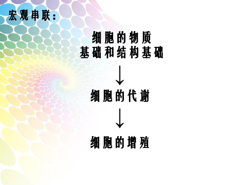 细胞分裂学案