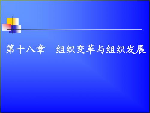 组织变革与组织发展111