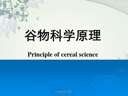 谷物科学原理