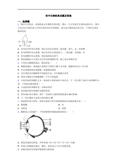 初中生物经典试题及答案