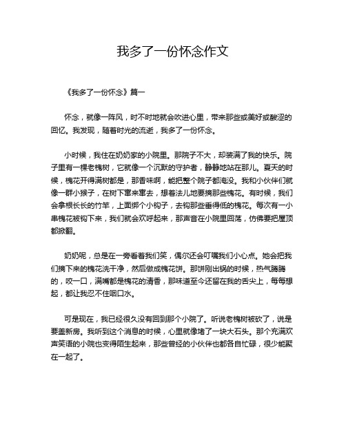 我多了一份怀念作文