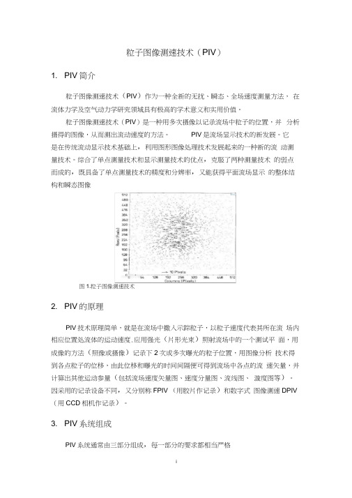 粒子图像测速技术