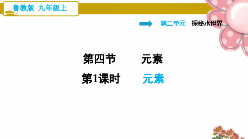 鲁教版九年级化学上册2.4.1 元素ppt课件