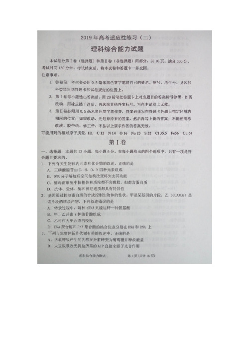 2019届山东省烟台市高三五月高考适应性练习(二)理综试卷扫描版含答案