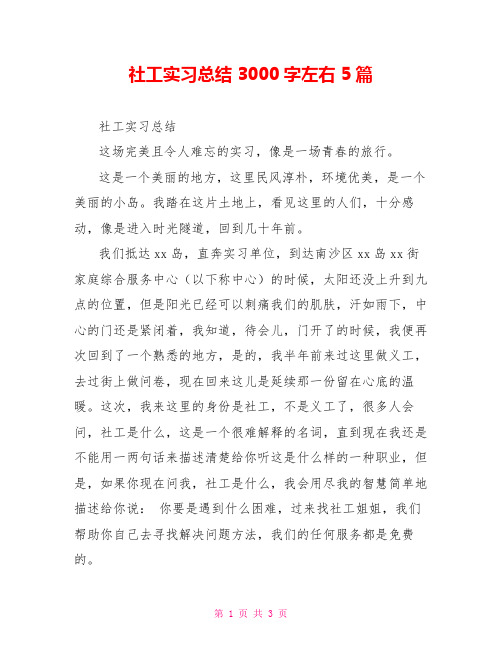 社工实习总结 3000字左右 5篇