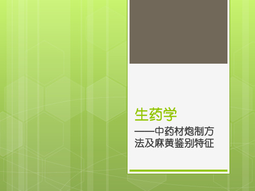 中药材炮制方法及麻黄鉴别特征