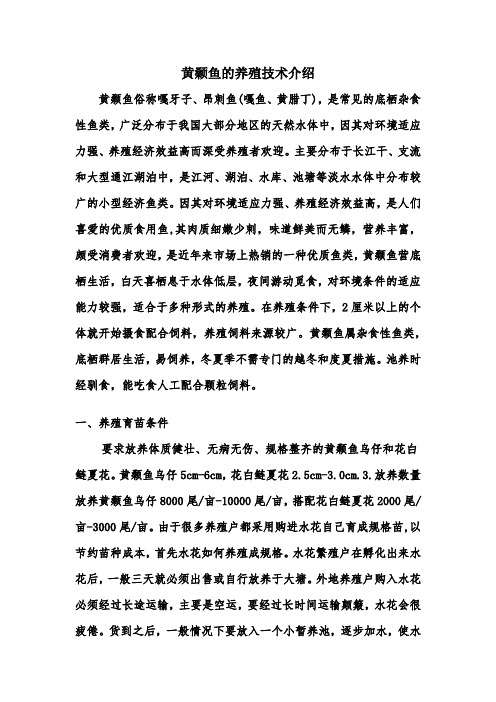 池塘主养黄颡鱼的技术介绍