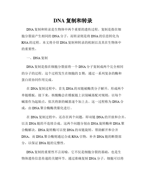 DNA复制和转录