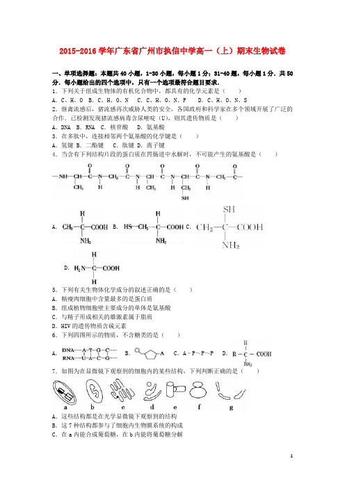 广东省广州市执信中学高一生物上学期期末试卷(含解析)