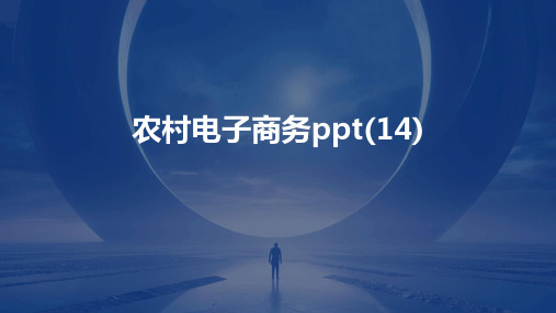 农村电子商务ppt(14)2024新版