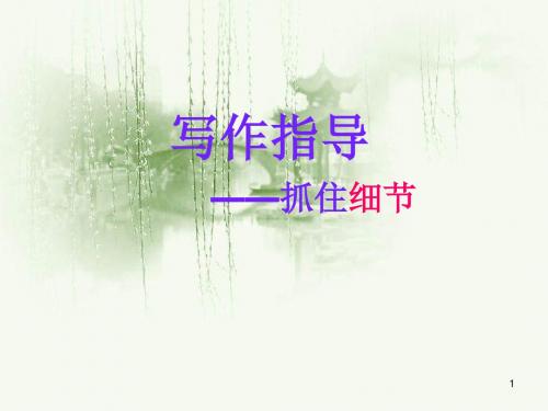 初中语文写作(作文)专项指导 抓住细节7 课件PPT.ppt