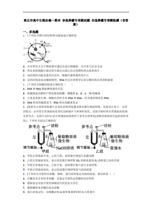 商丘市高中生物必修一期末 非选择题专项测试题 非选择题专项模拟题(含答案)