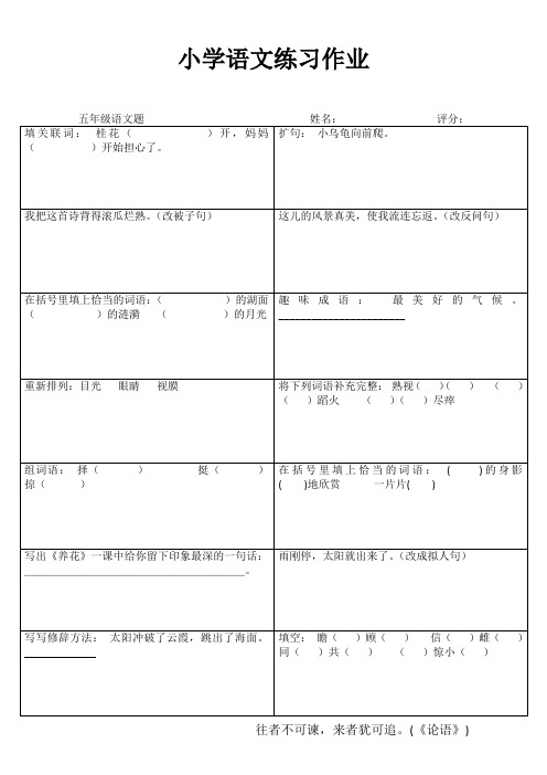 五年级语文课堂拓展精选练习IV (49)