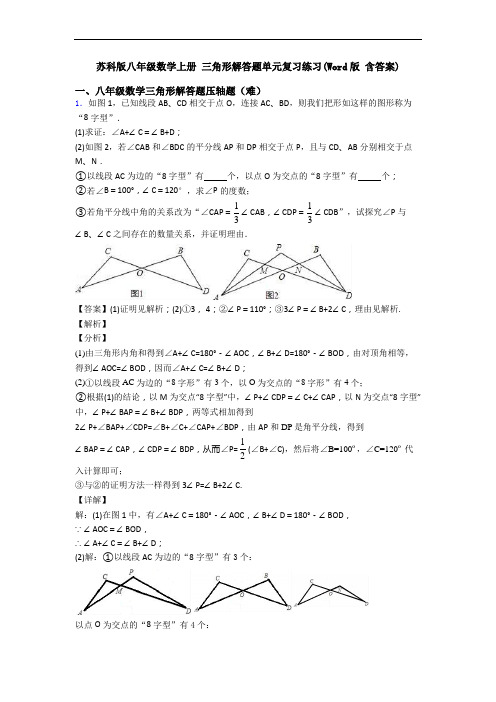 苏科版八年级数学上册 三角形解答题单元复习练习(Word版 含答案)