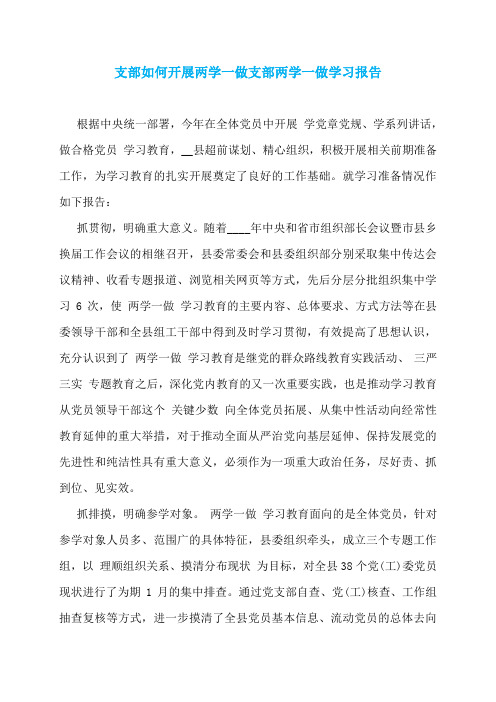 支部如何开展两学一做支部两学一做学习报告