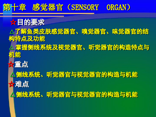 鱼类感觉器官