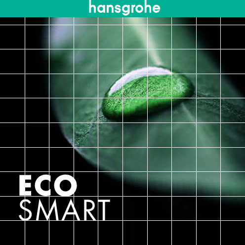 汉斯格雅2008年EcoSmart产品手册