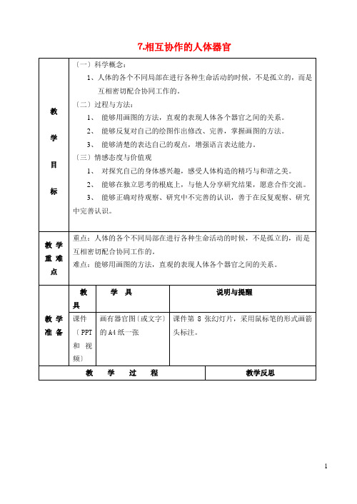 四年级科学上册我们的身体7相互协作的人体器官教案教科版