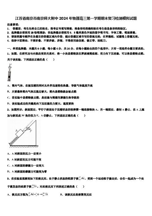 江苏省南京市南京师大附中2024年物理高三第一学期期末复习检测模拟试题含解析