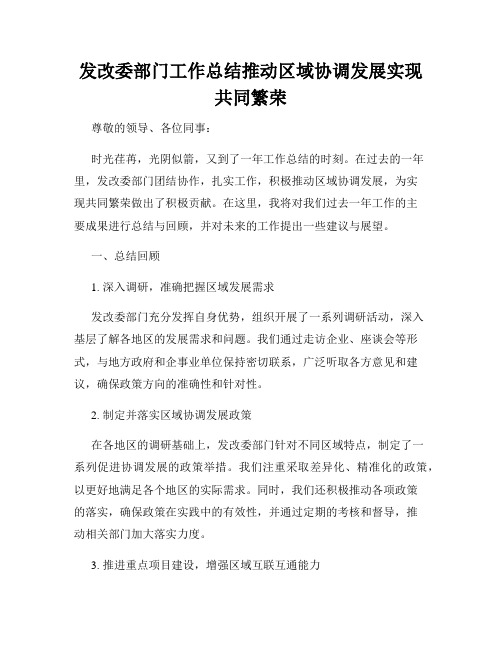 发改委部门工作总结推动区域协调发展实现共同繁荣