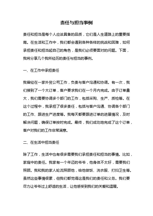 责任与担当事例