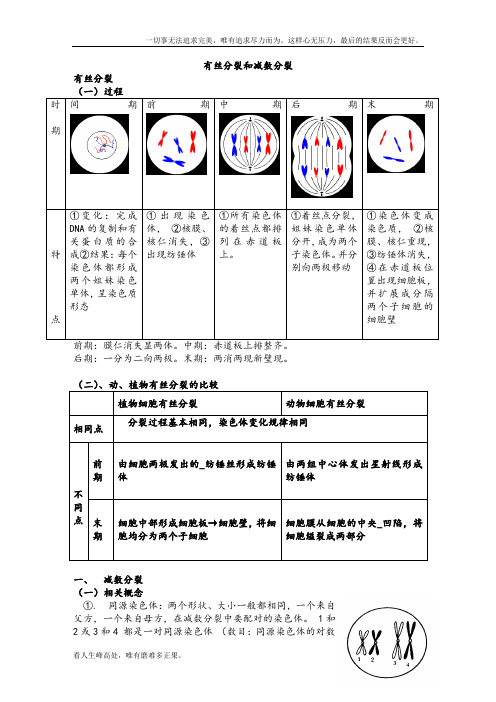 (新)高中生物必修二减数分裂详尽分析