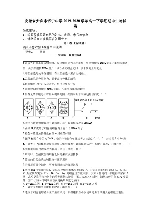 安徽省安庆市怀宁中学2019-2020学年高一下学期期中生物试卷及解析