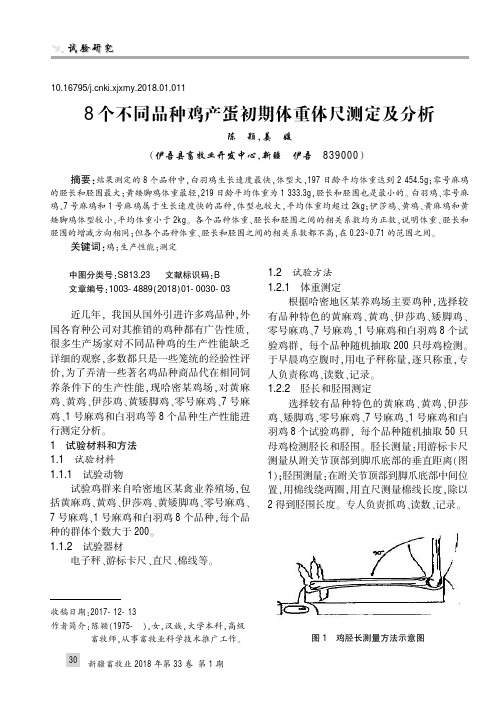 8个不同品种鸡产蛋初期体重体尺测定及分析