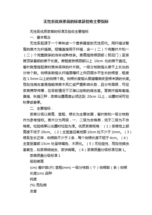 无性系优质茶苗的标准及验收主要指标