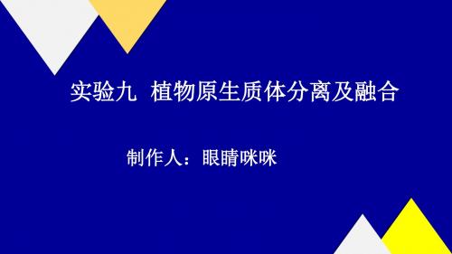 植物原生质体的分离与融合讲述