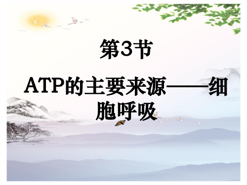 高中生物必修一第5章第3节 ATP的主要来源——细胞呼吸  课件(共24张PPT)[优秀课件][优秀课件]