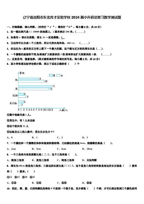 辽宁省沈阳市东北育才实验学校2024届小升初总复习数学测试题含解析