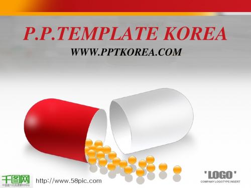 韩国精美PPT动画模板图表大全