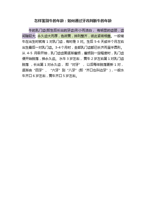 怎样鉴别牛的年龄：如何通过牙齿判断牛的年龄