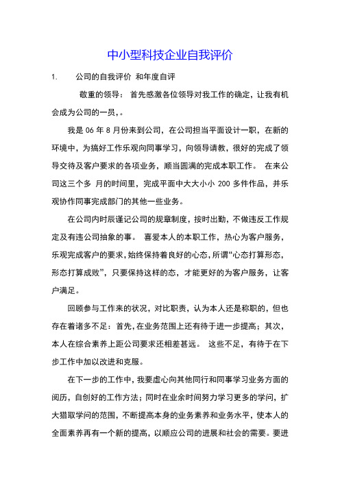 中小型科技企业自我评价